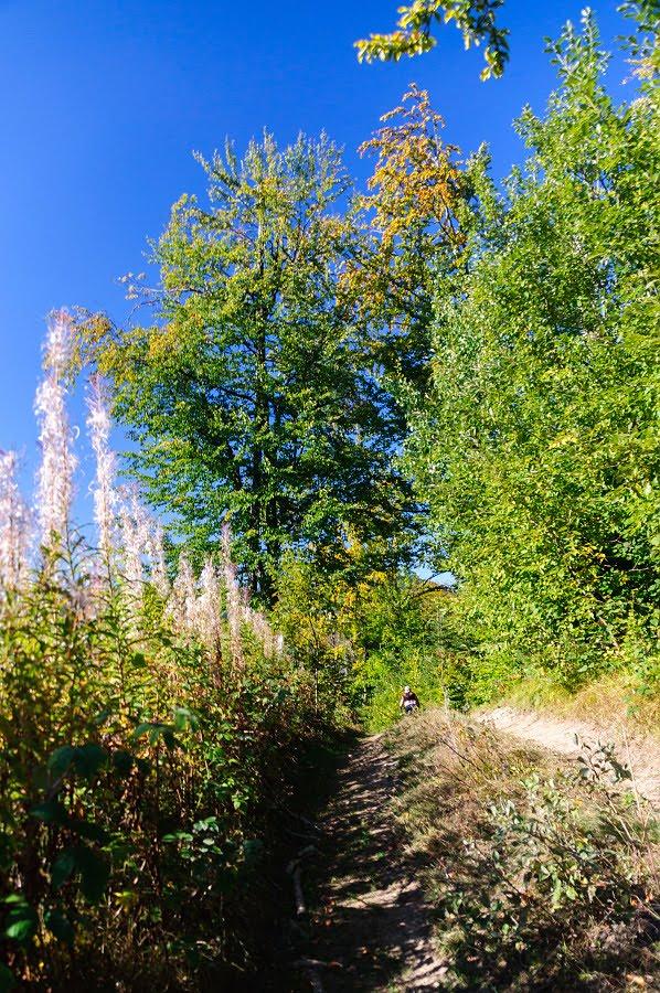 Ужок з panoramio.com - Ужок