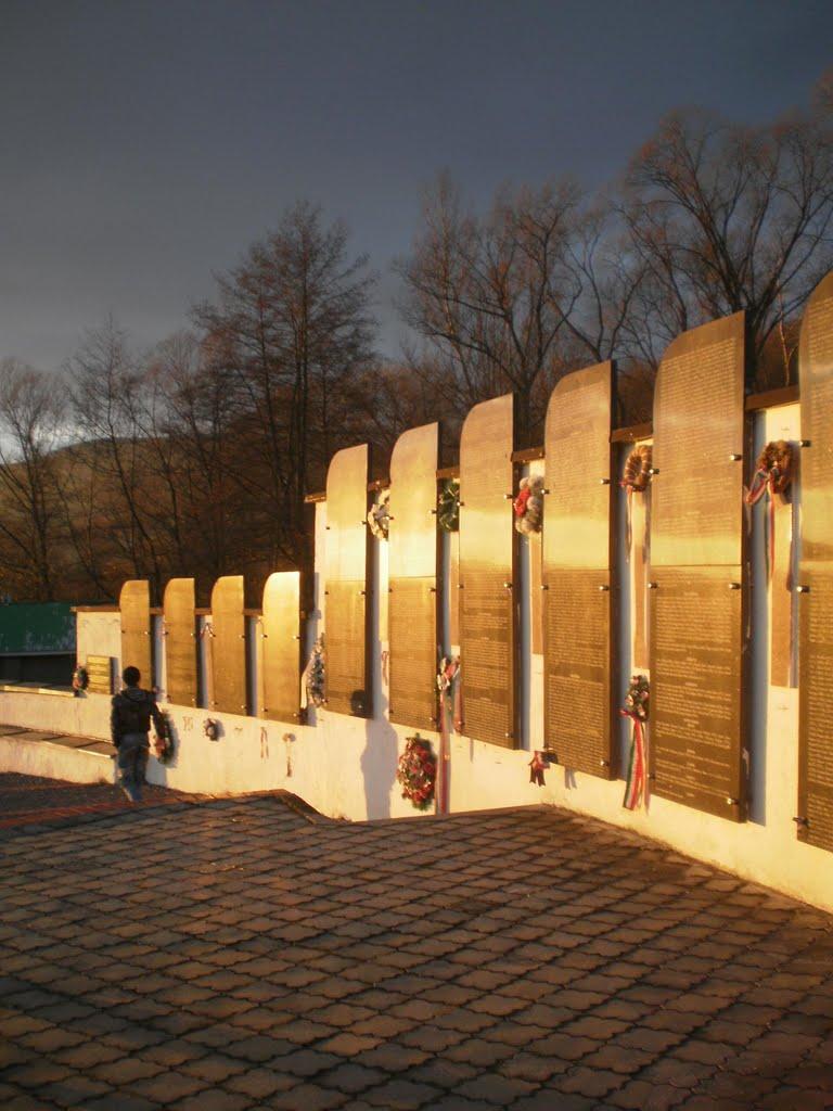 Свалява з panoramio.com - Свалява
