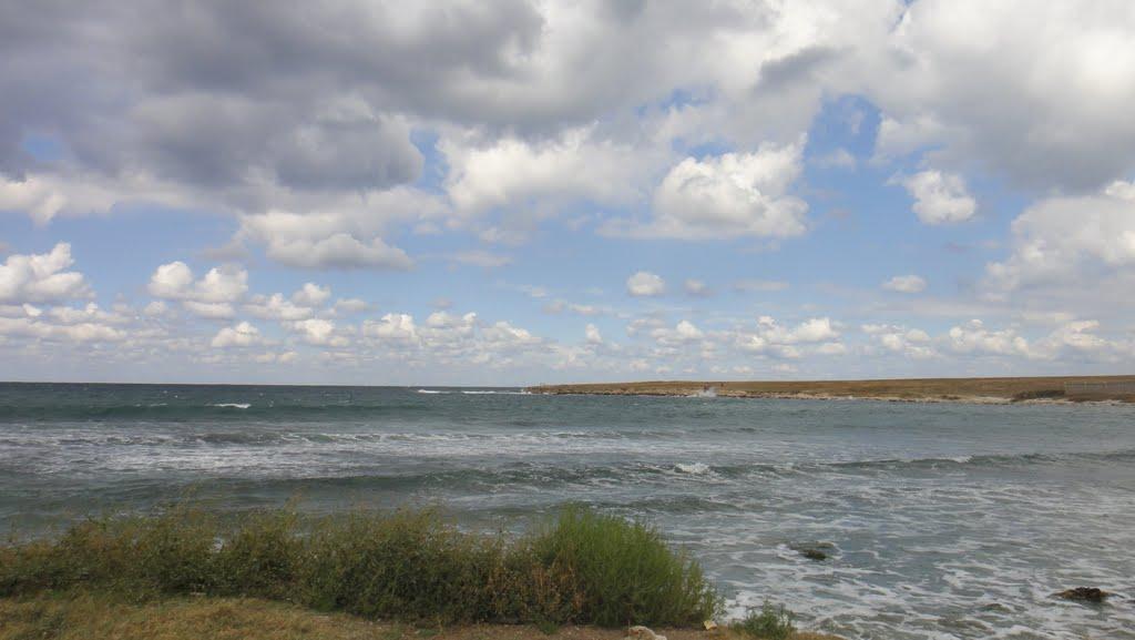 Новосільське з panoramio.com - Новосельское