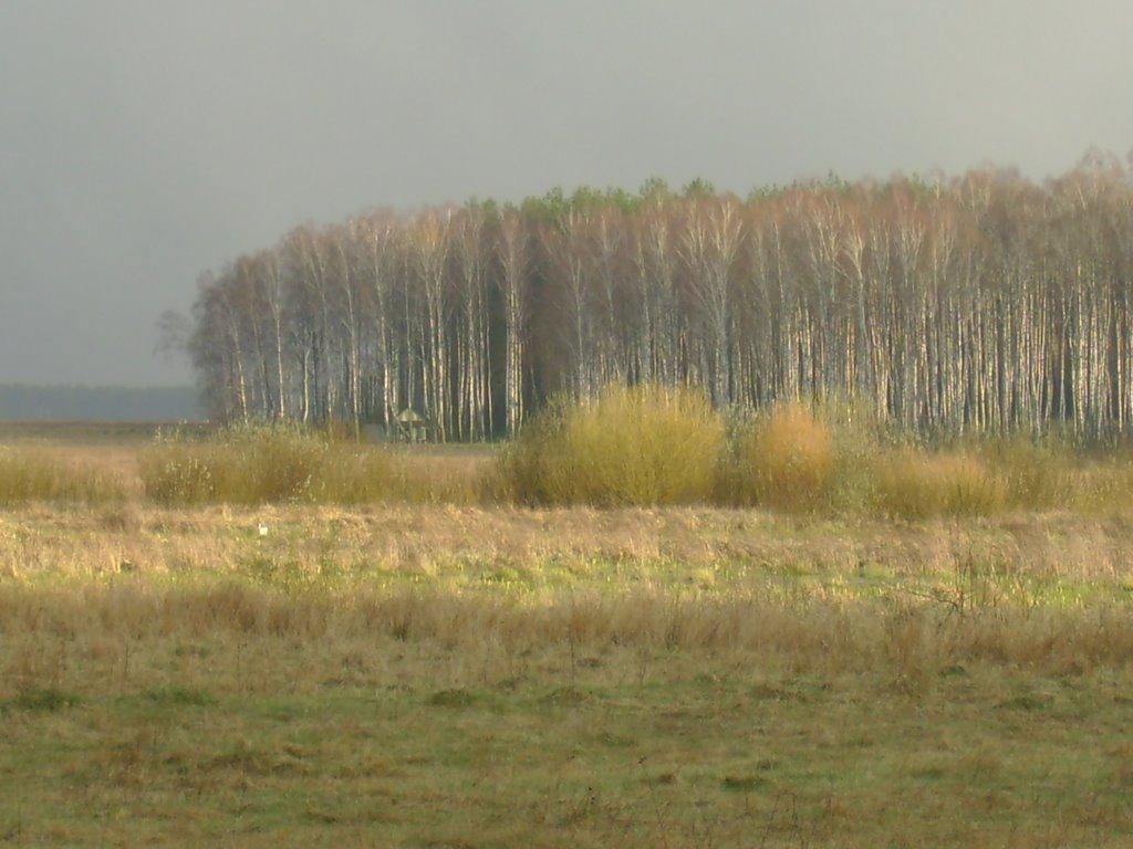 Ніжиловичі з panoramio.com - Ніжиловичі