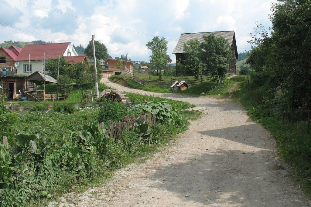 Чорна Тиса з panoramio.com - Черная Тиса