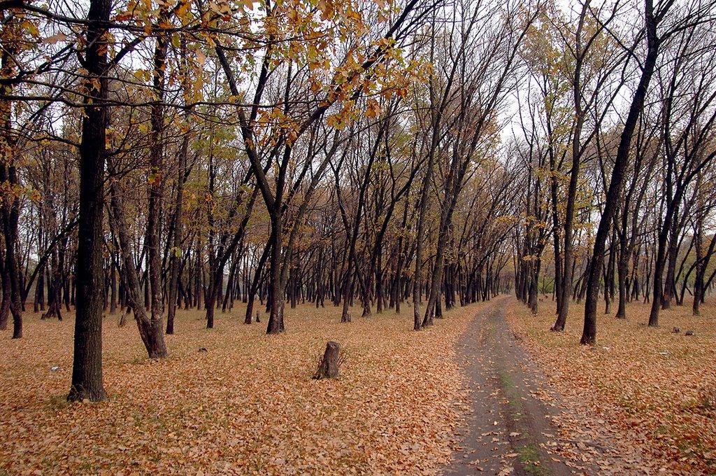 Кремінець з panoramio.com - Кременец