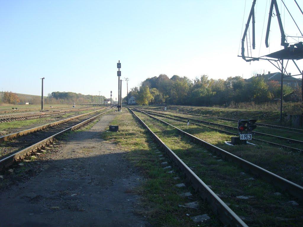 Томашівка з panoramio.com - Томашівка