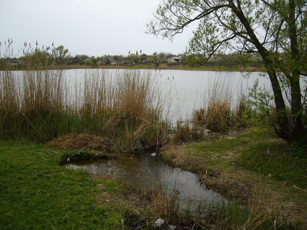 Володимирівка з panoramio.com - Владимировка