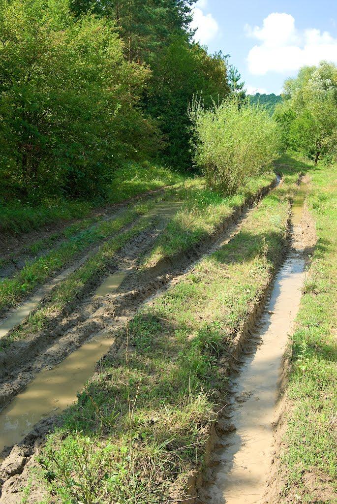 Миньківці з panoramio.com - Миньківці