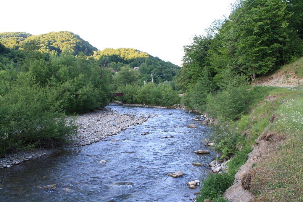 Великий Бичків з panoramio.com - Великий Бичків