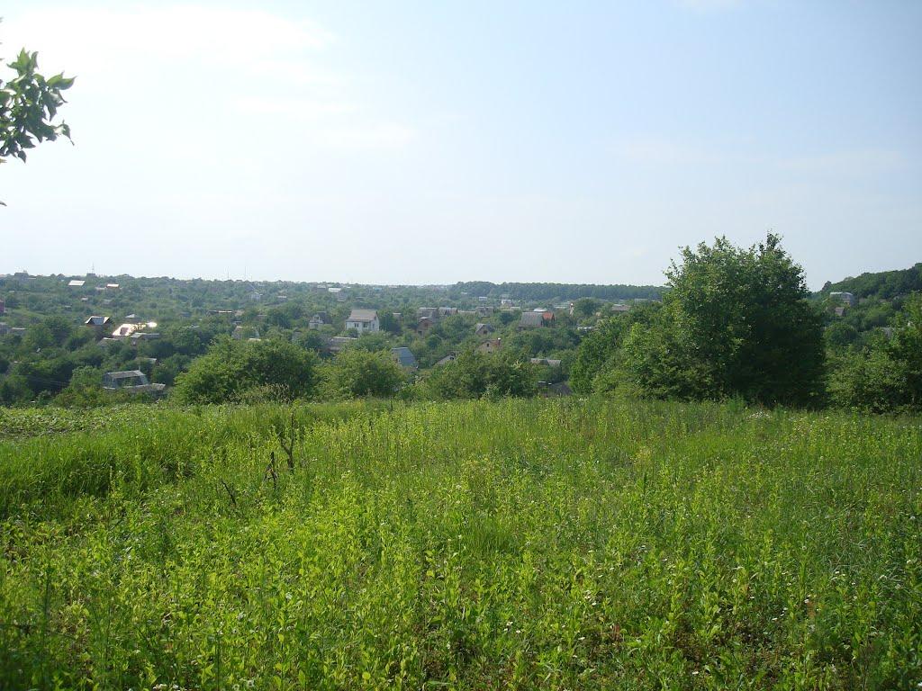 Давидківці з panoramio.com - Давидківці