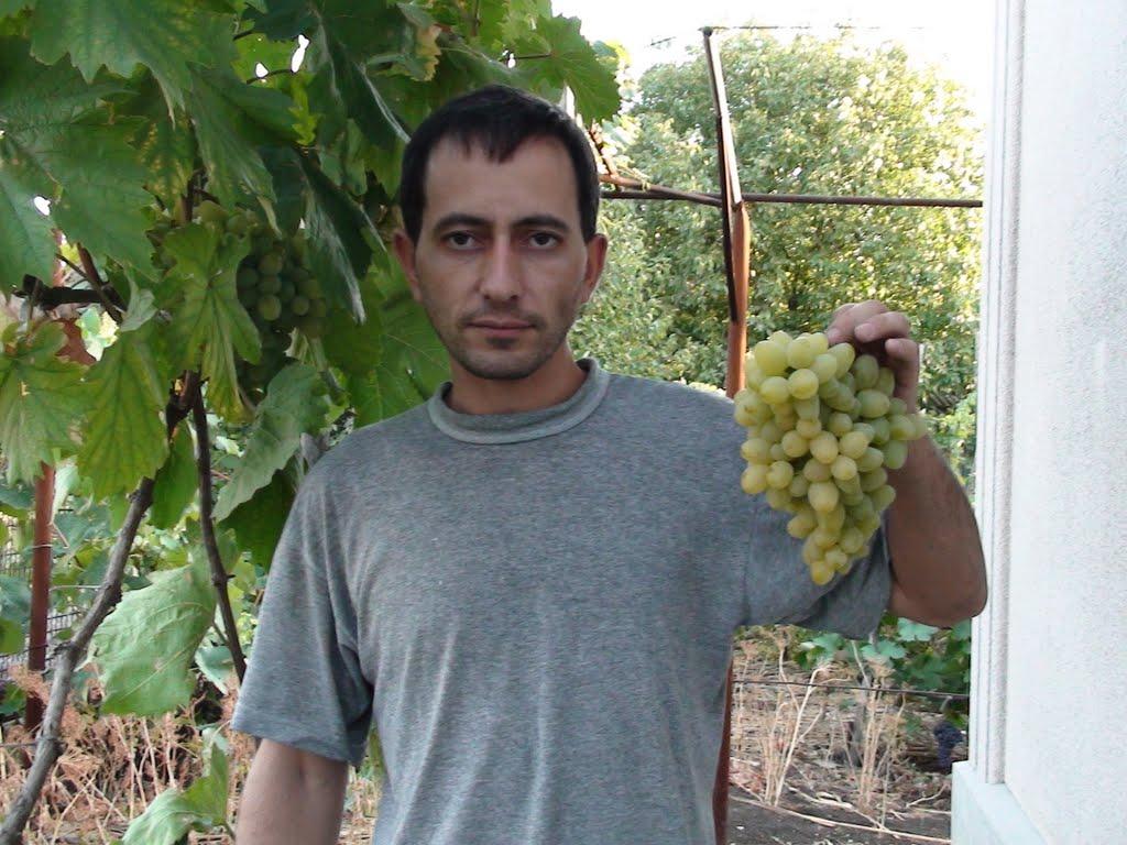 Мар'їнка з panoramio.com - Мар'їнка