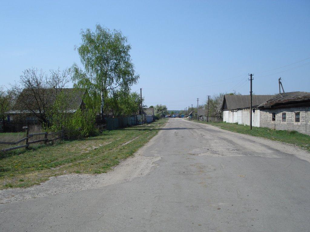 Ніжиловичі з panoramio.com - Ніжиловичі