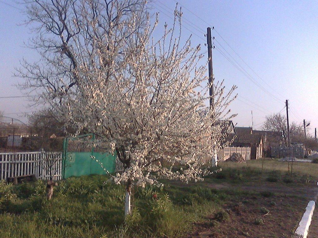 Луначарське з panoramio.com - Азовское