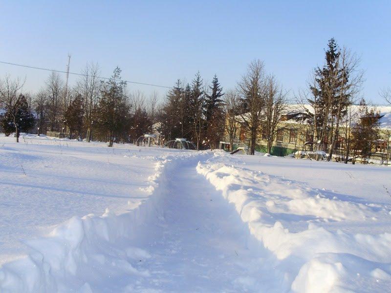 Шершенці з panoramio.com - Шершенці