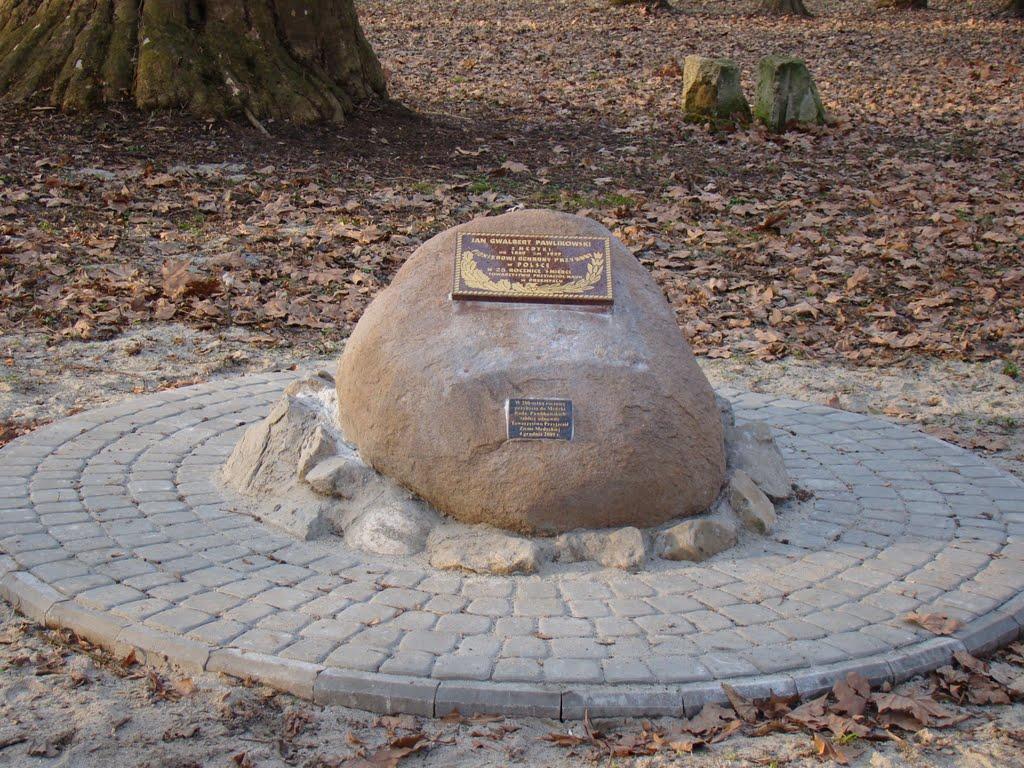 Биків з panoramio.com - Быков