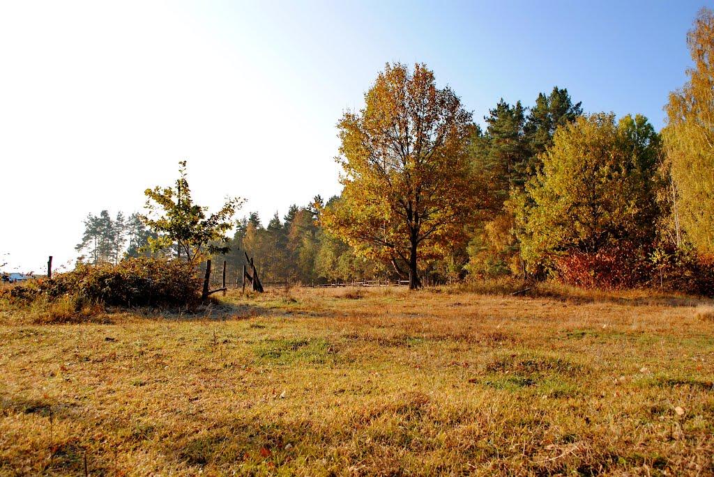 Дениші з panoramio.com - Дениши