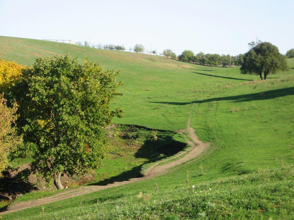 Домниця з panoramio.com - Домница