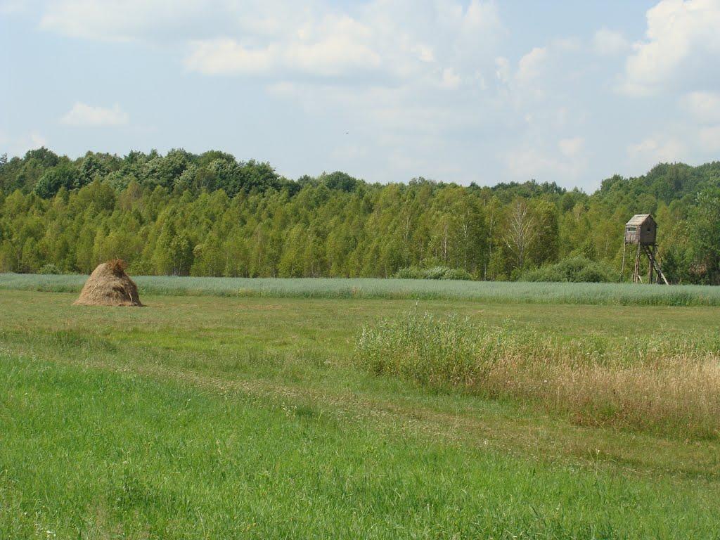 Тиховиж з panoramio.com - Тиховиж