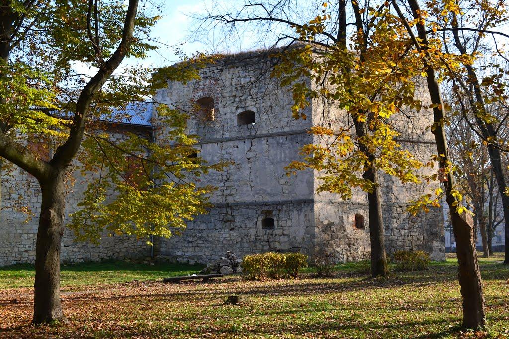 Бережани з panoramio.com - Бережаны
