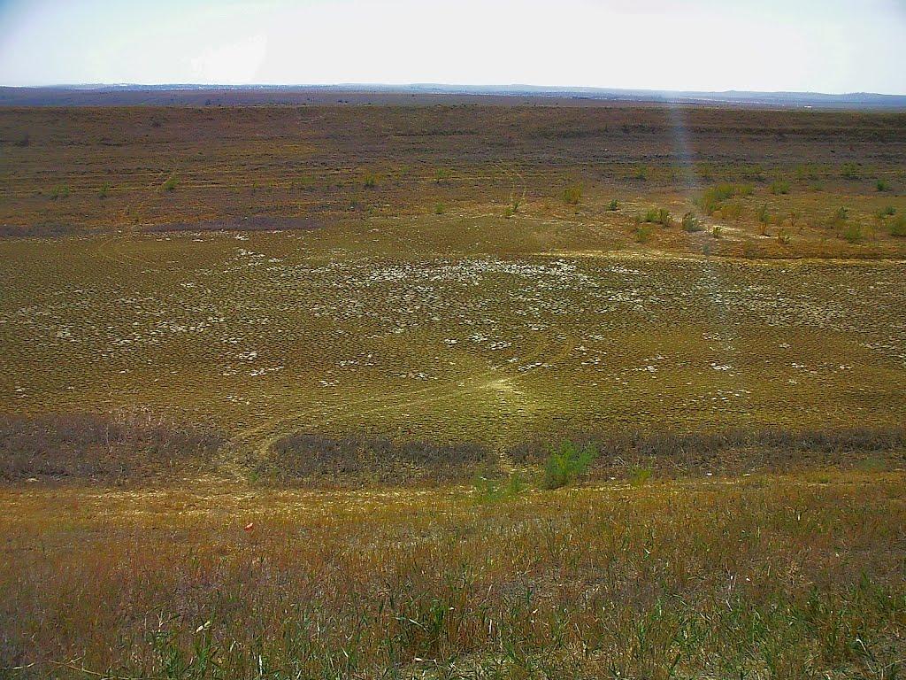 Каштани з panoramio.com - Каштани