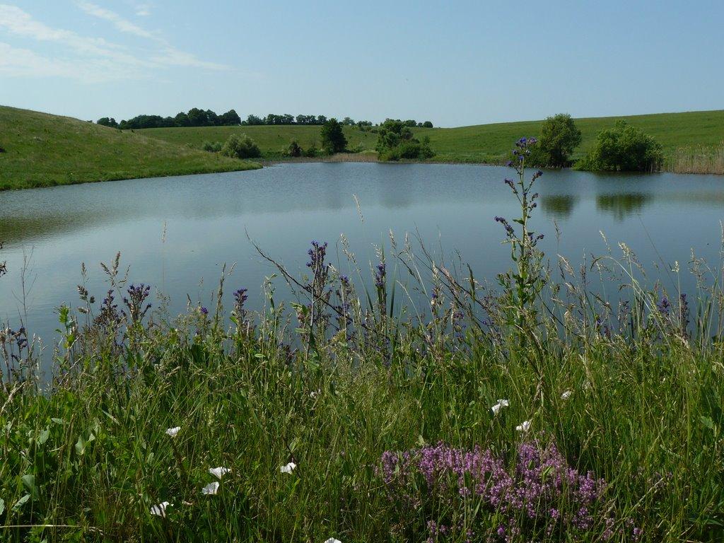 Сніжки з panoramio.com - Snizhky