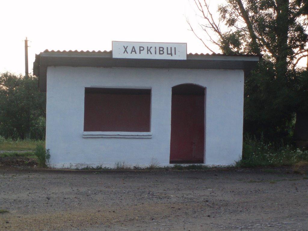 Харківці з panoramio.com - Харьковцы