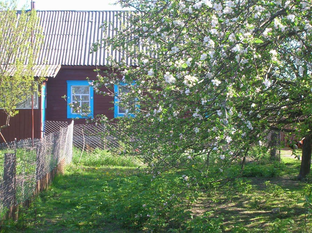 Красносілка з panoramio.com - Красносілка