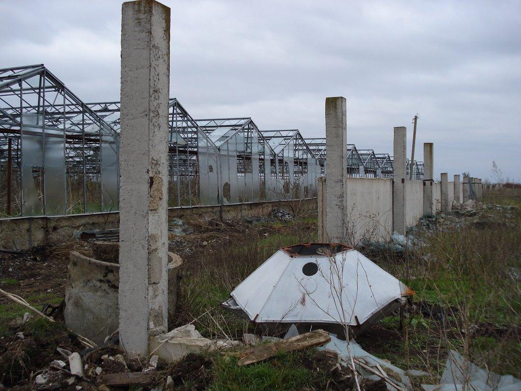 Петрівка з panoramio.com - Петровка