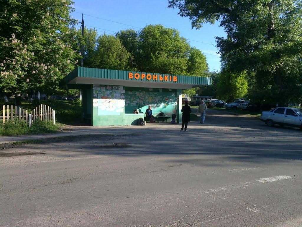 Вороньків з panoramio.com - Воронков