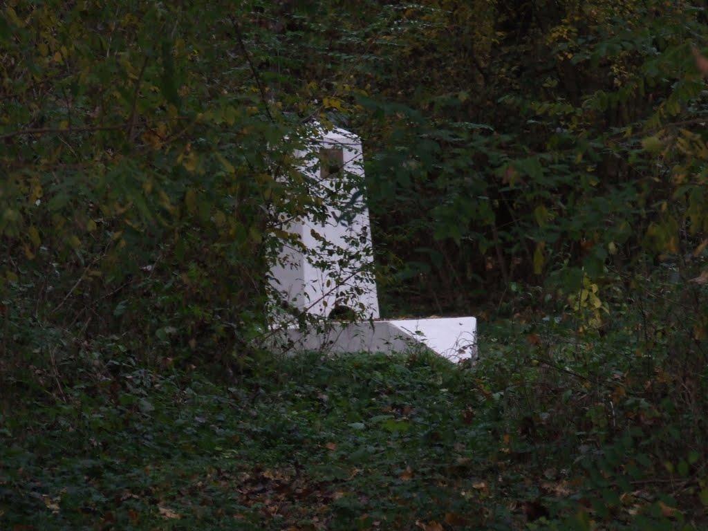 Велика Паладь з panoramio.com - Великая Паладь