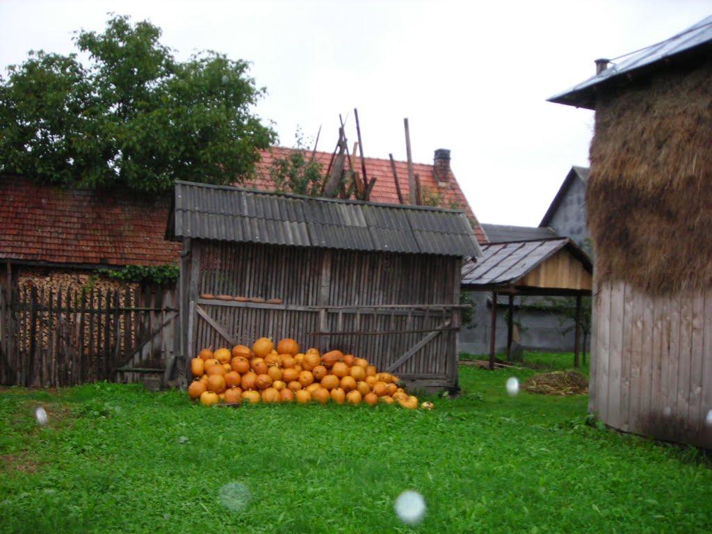 Тересва з panoramio.com - Тересва