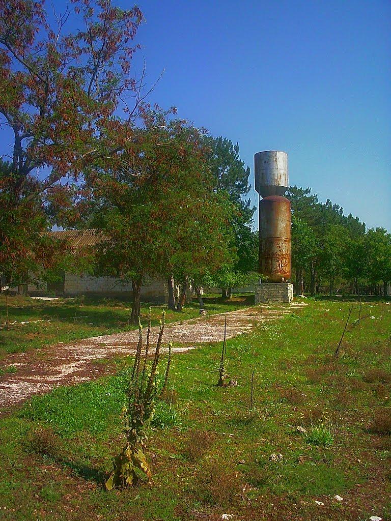 Плотинне з panoramio.com - Плотинное