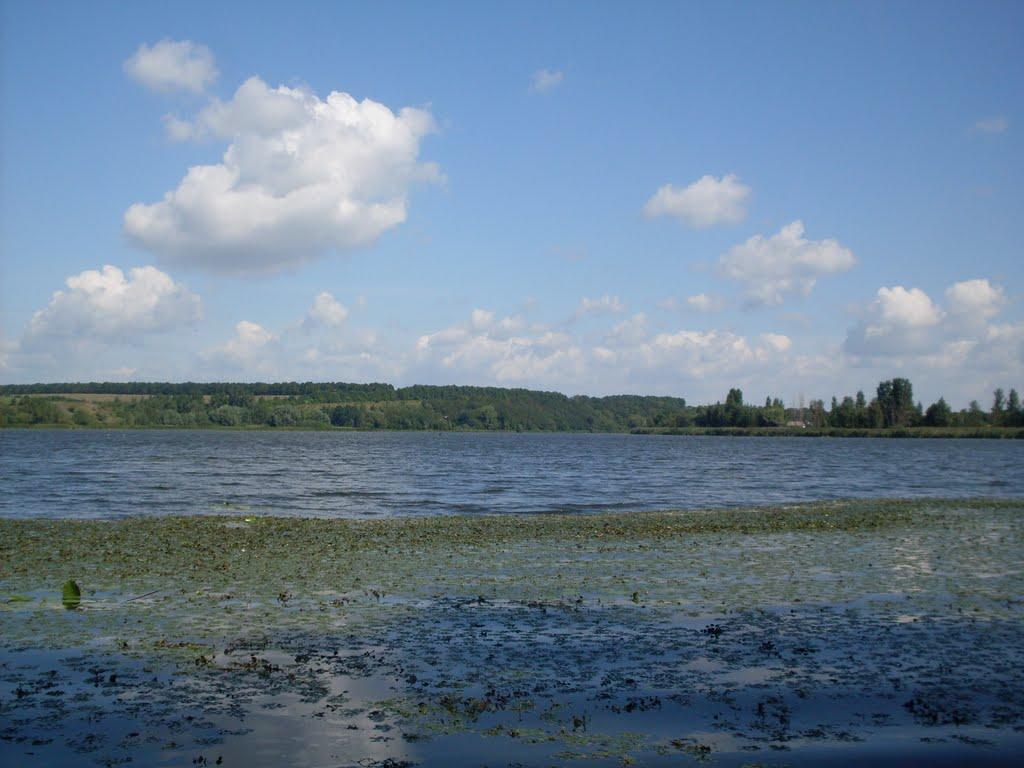 Крутогорб з panoramio.com - Крутогорб