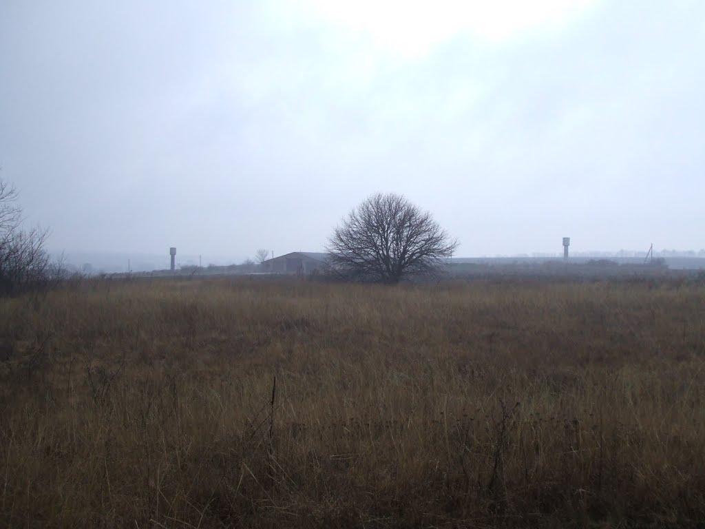 Бригадирівка з panoramio.com - Бригадирівка