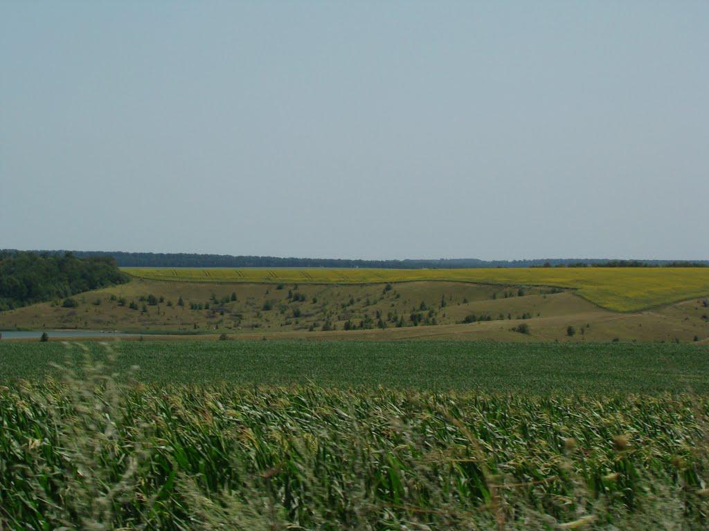 Коханівка з panoramio.com - Кохановка