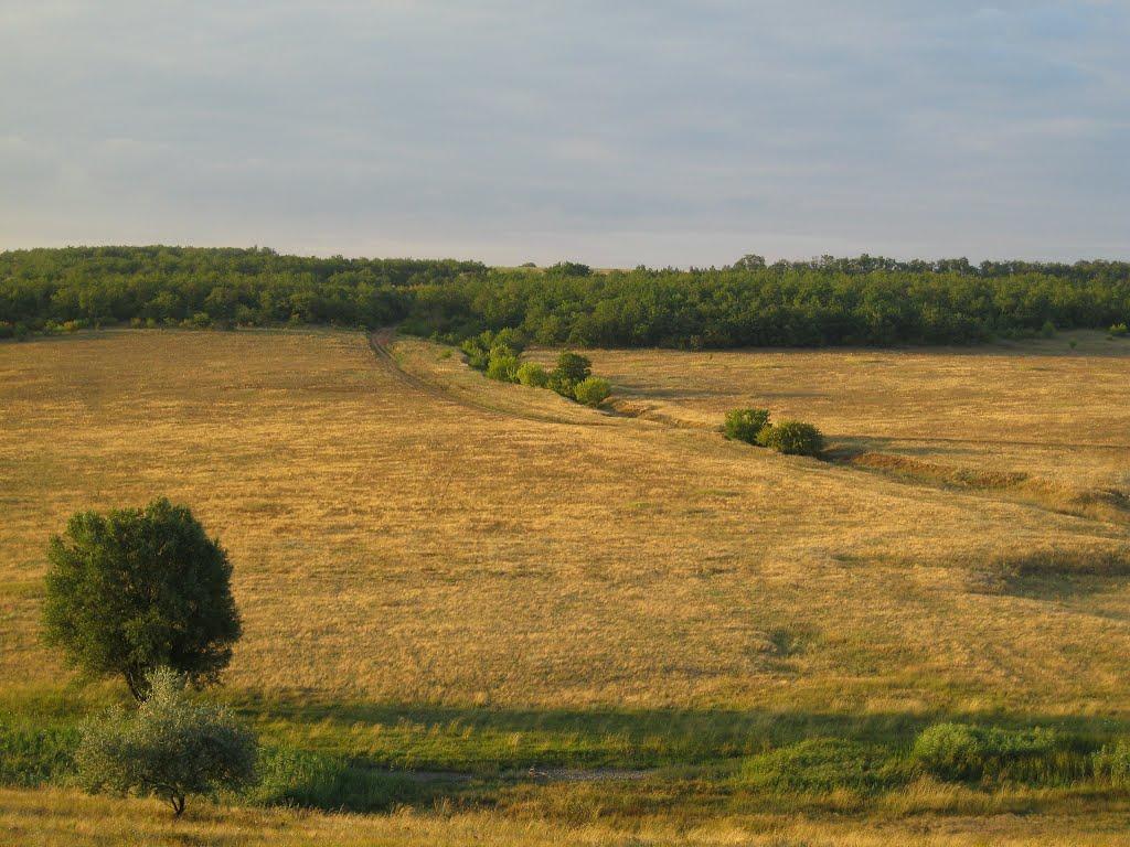 Новобахмутівка з panoramio.com - Новобахмутівка
