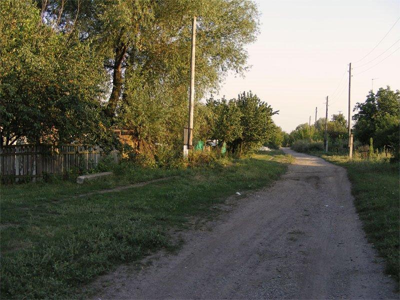 Лозове з panoramio.com - Лозовое
