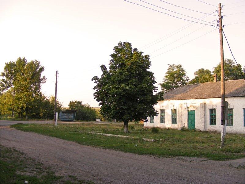 Лозове з panoramio.com - Лозовое