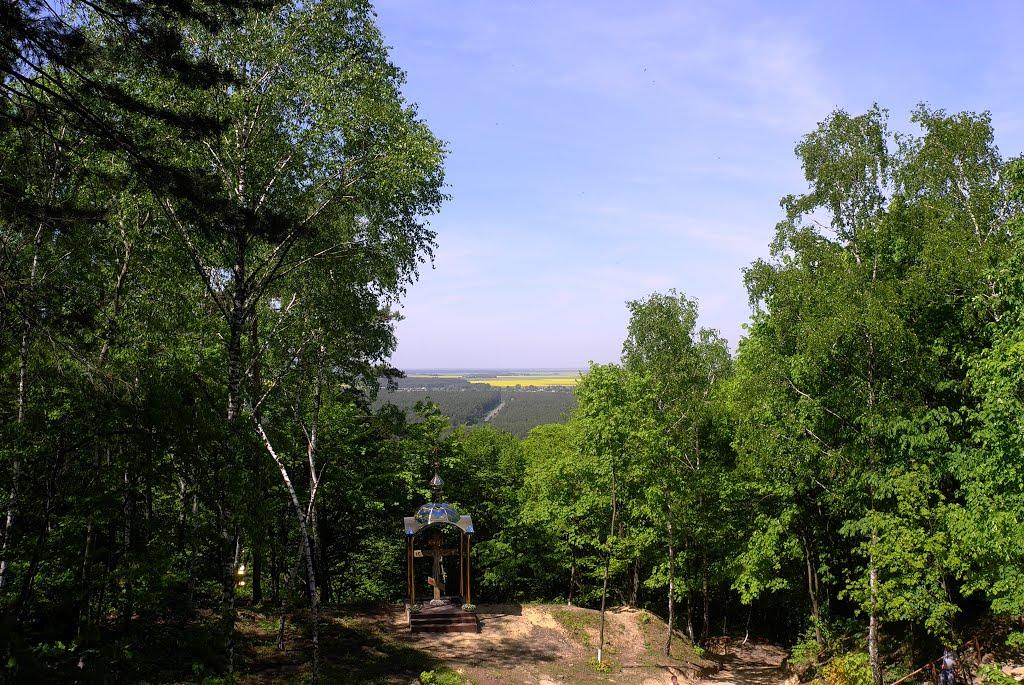 Великі Бережці з panoramio.com - Великі Бережці