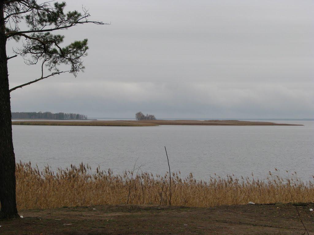 Лошакова Гута з panoramio.com - Лошакова Гута