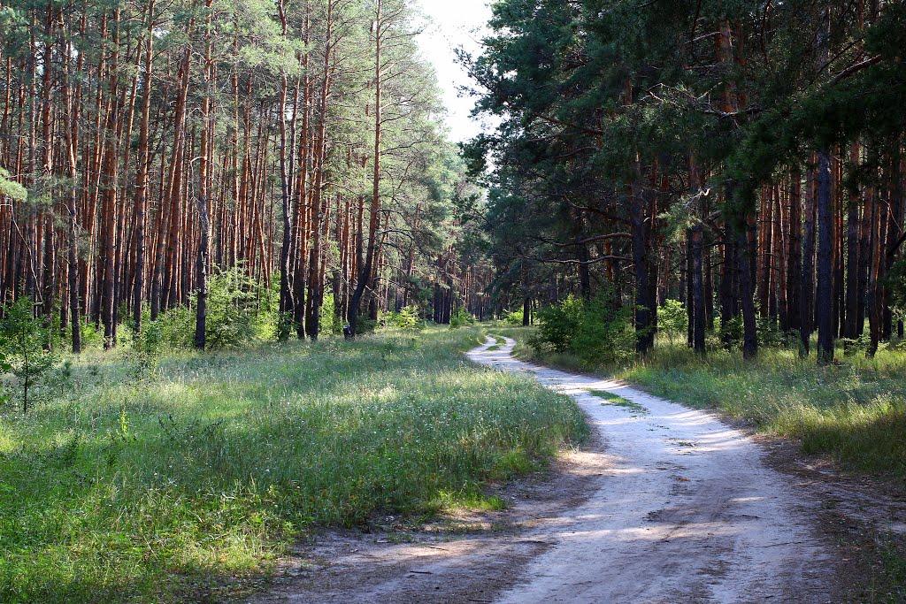 Новоселівка з panoramio.com - Новоселівка
