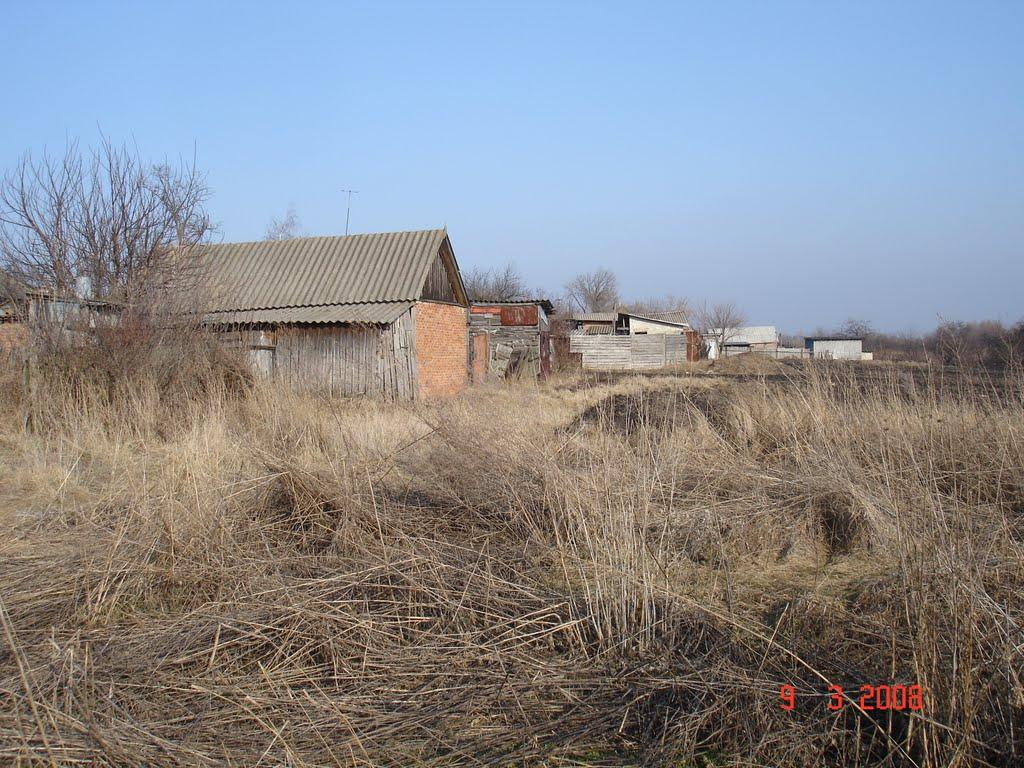 Стара Гнилиця з panoramio.com - Стара Гнилиця