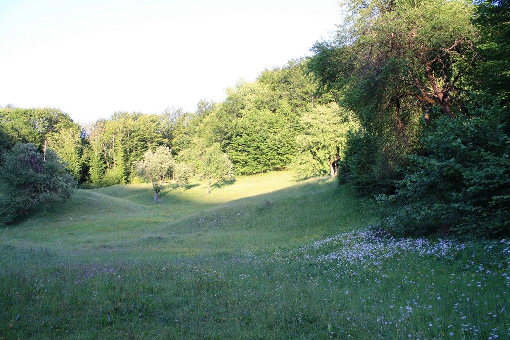Великий Бичків з panoramio.com - Великий Бичків