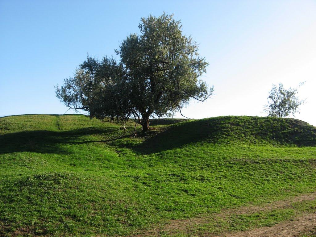 Домниця з panoramio.com - Домница