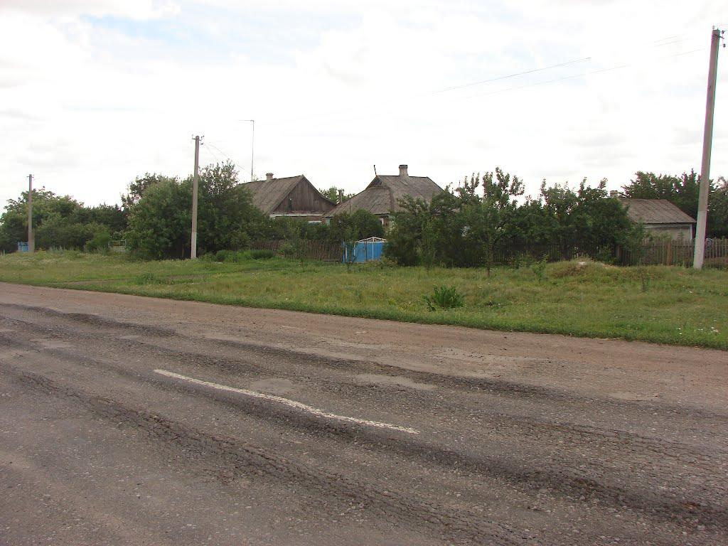 Рози Люксенбург з panoramio.com - Новое Шахово