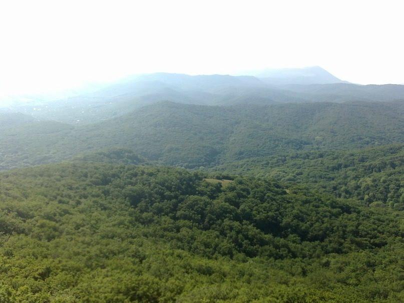 Краснолісся з panoramio.com - Краснолесье