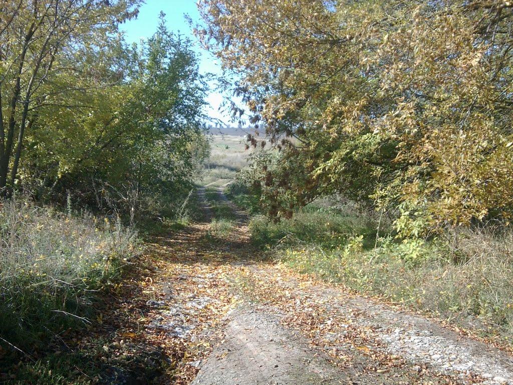 Лебединське з panoramio.com - Лебединское