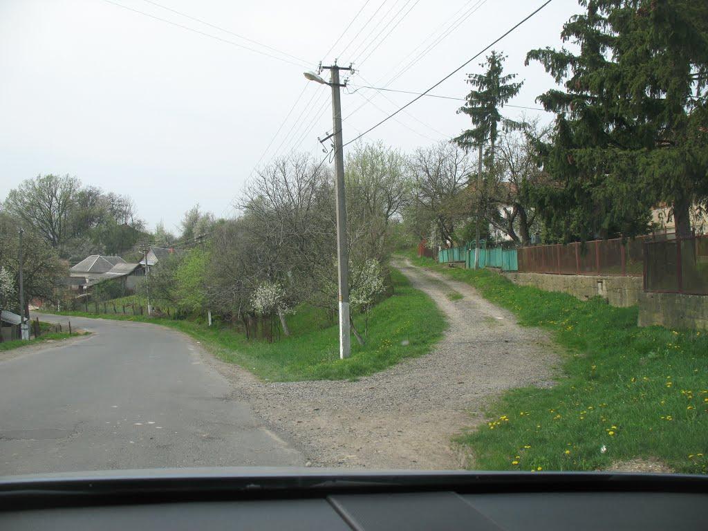 Верхні Ремети з panoramio.com - Verkhni Remety