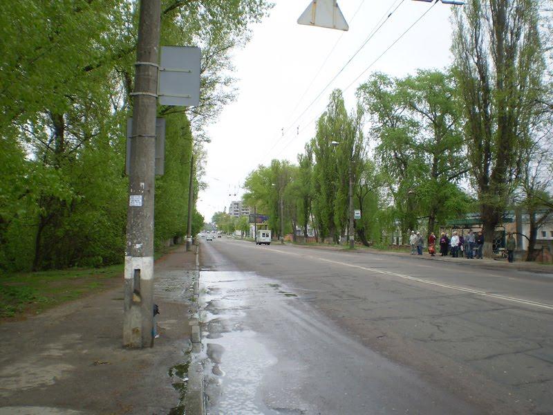 Чернігів з panoramio.com (ч.5) - Чернігів