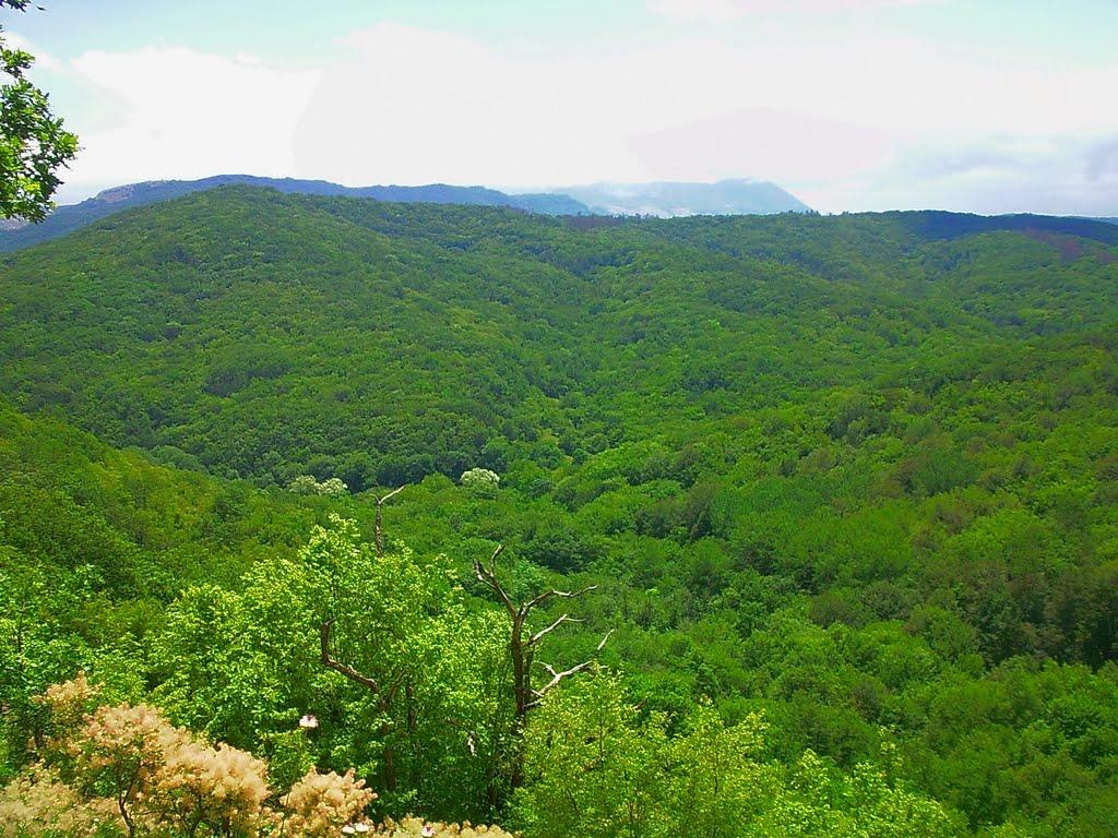 Краснолісся з panoramio.com - Краснолесье