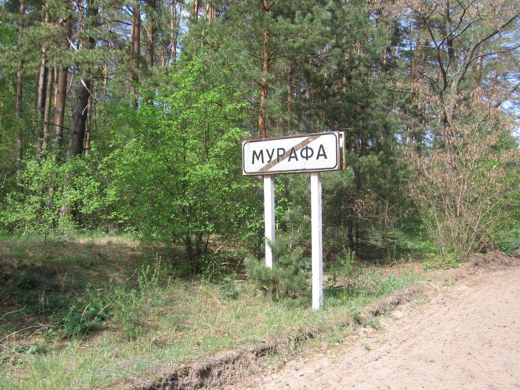 Сорокове з panoramio.com - Сороково