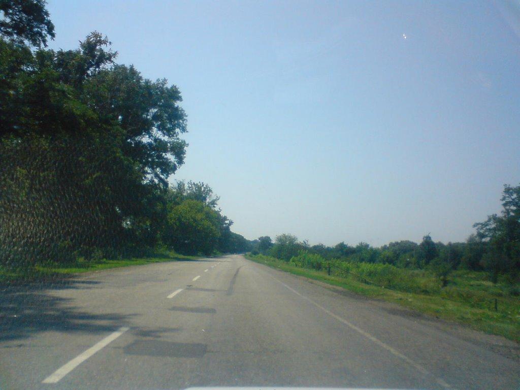 Василівка з panoramio.com - Василівка