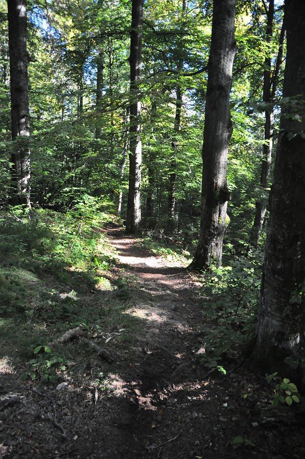 Щербовець з panoramio.com - Щербовец